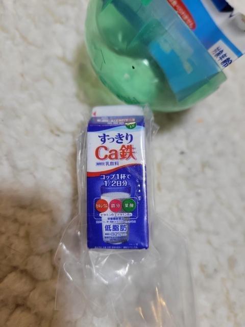 雪印メグミルク ミニチュアチャーム すっきりCa鉄1000ml < ホビー 雪印メグミルク ミニチュアチャーム すっきりCa鉄1000ml < ホビーの