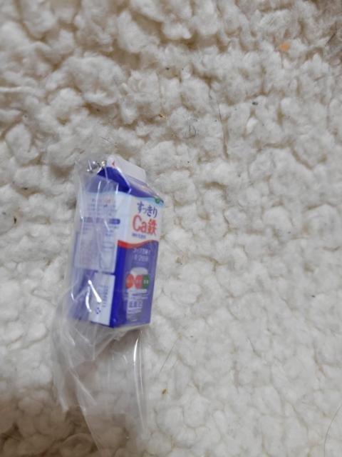 雪印メグミルク ミニチュアチャーム すっきりCa鉄1000ml < ホビー 雪印メグミルク ミニチュアチャーム すっきりCa鉄1000ml < ホビーの