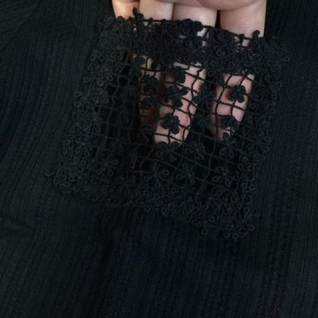 ԃ[X̃|Pbg K[[Jbg\[ 100% M  t@bV 