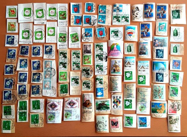 gpςݐ؎ 106   A  a40N 50N 60N  ؎ RNV  X֔ԍ   zr[ 