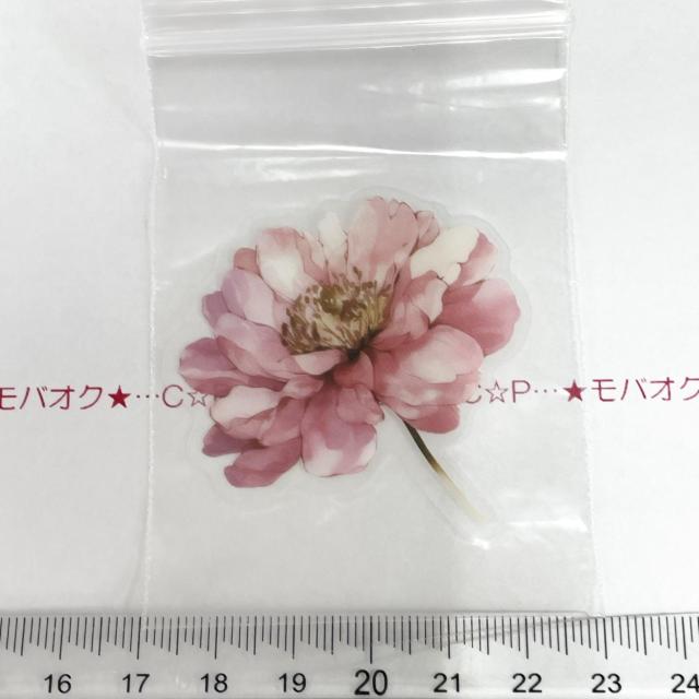 14*���s��R���[�W���V�[���@�݌ɂȂ��@29 