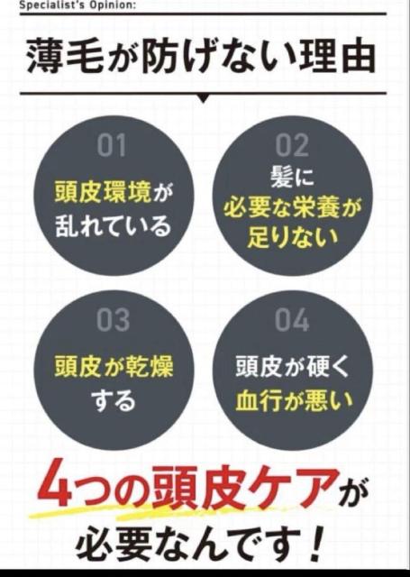 �ƊE���R�I�y�g�`�h�q�l�n�z�L���������S��ނ��z��������򕔊O�i�I��э�&����}�b�T�[�W�u���V�Q�_�Z�b�g�艿10,960�~���c �� �w���X/�r���[�e�B�[�� 