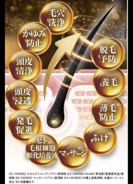 �ƊE���R�I�y�g�`�h�q�l�n�z�L���������S��ނ��z��������򕔊O�i�I��э�&����}�b�T�[�W�u���V�Q�_�Z�b�g�艿10,960�~���c �� �w���X/�r���[�e�B�[�� 