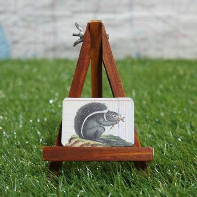 Viy}OlbgzSquirrel^X@-NX-   CeA/Ct 