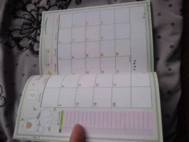 夏目友人帳 ニャンコ先生スケジュール帳2021 < アニメ/コミック/キャラクター  夏目友人帳 ニャンコ先生スケジュール帳2021 < アニメ/コミック/キャラクターの