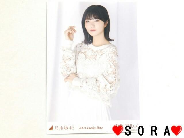 【乃木坂46/中西アルノ】2023年 Lucky Bag ラッキーバッグ福袋♪生写真 < タレントグッズ  【乃木坂46/中西アルノ】2023年 Lucky Bag ラッキーバッグ福袋♪生写真  < タレントグッズの
