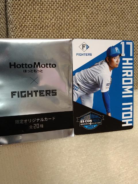 gp@kCIn~قƂƃJ[h@ɓC   W[/X|[c 