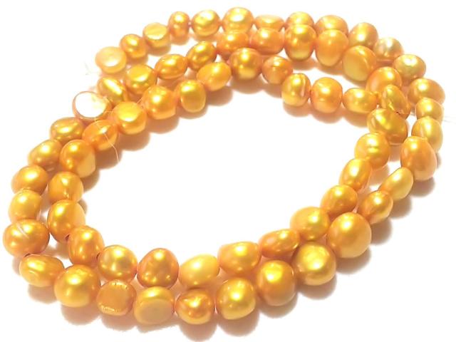 �V�R�΁��W���p�[���@�|�e�g�@�P�A  �� �����A�N�Z�T���[/���v�� 