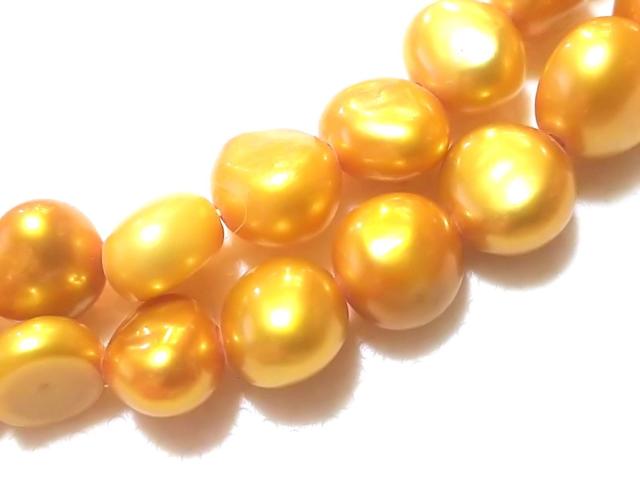 �V�R�΁��W���p�[���@�|�e�g�@�P�A �� �����A�N�Z�T���[/���v�� 