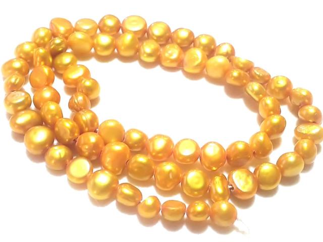 �V�R�΁��W���p�[���@�|�e�g�@�P�A �� �����A�N�Z�T���[/���v�� 