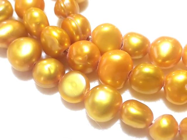 �V�R�΁��W���p�[���@�|�e�g�@�P�A �� �����A�N�Z�T���[/���v�� 