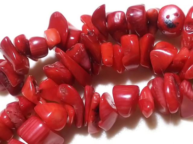 �V�R�΁��ԎX��@������@�P�A �� �����A�N�Z�T���[/���v�� 