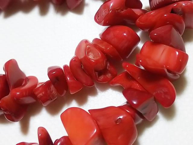 �V�R�΁��ԎX��@������@�P�A �� �����A�N�Z�T���[/���v�� 