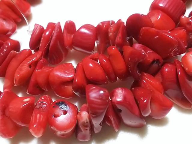 �V�R�΁��ԎX��@������@�P�A �� �����A�N�Z�T���[/���v�� 