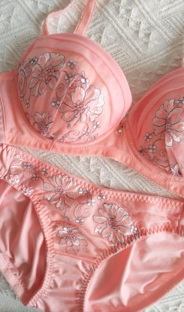 cVO/lintesucreԕhJuW[V[cZbgVi^Ot