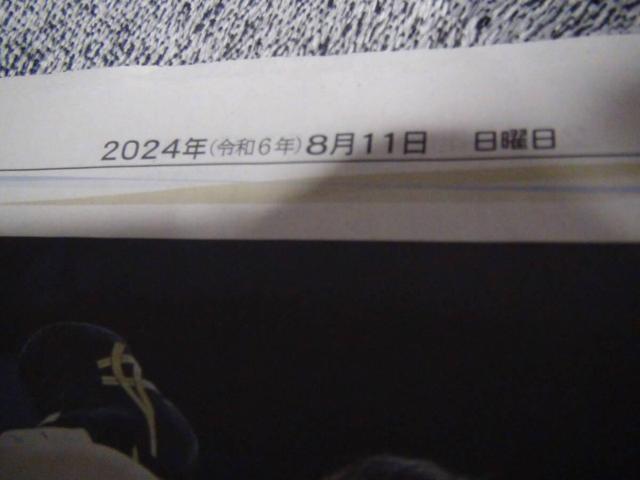 pܗ֊e_ʂ̋L2024N811_ːV !B  zr[ 