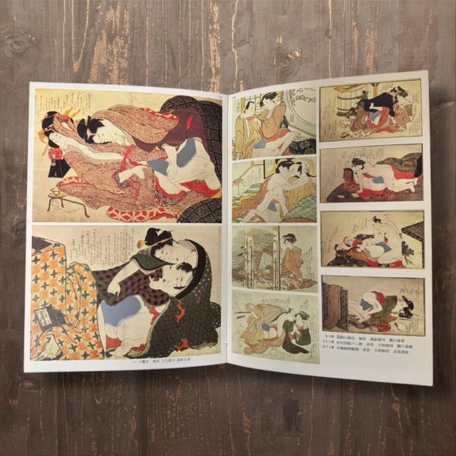 春画 本 浮世絵の秘戯画 < 本/雑誌 春画 本 浮世絵の秘戯画 < 本/雑誌の