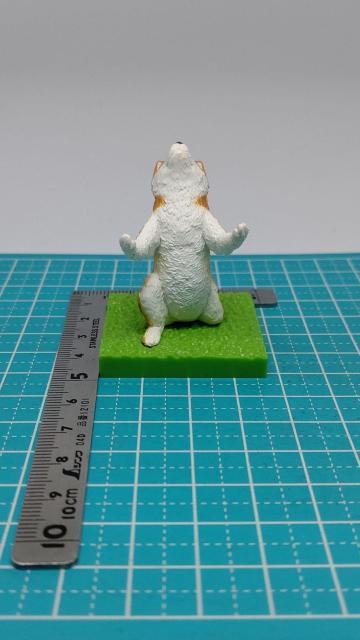 ガチャガチャ 動物 ご主人様 お持ちいたします。 シバイヌ < ホビー ガチャガチャ 動物 ご主人様 お持ちいたします。 シバイヌ < ホビーの