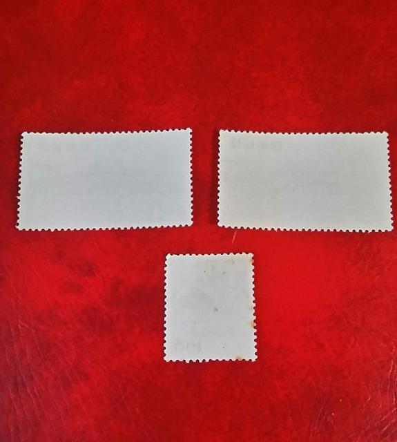 ���a�̕��ʐ؎聖���g�p�i �� �z�r�[�� 