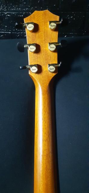 Taylor 414e-R ER2 2016�N�� ���A �����ҏ��� �� �z�r�[�� 