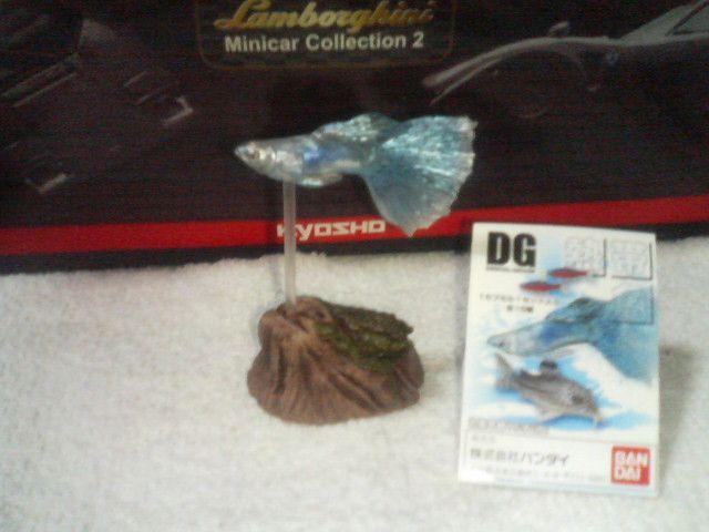 バンダイ DG1 グッピー ブルーグラス < ホビー バンダイ DG1 グッピー ブルーグラス < ホビーの