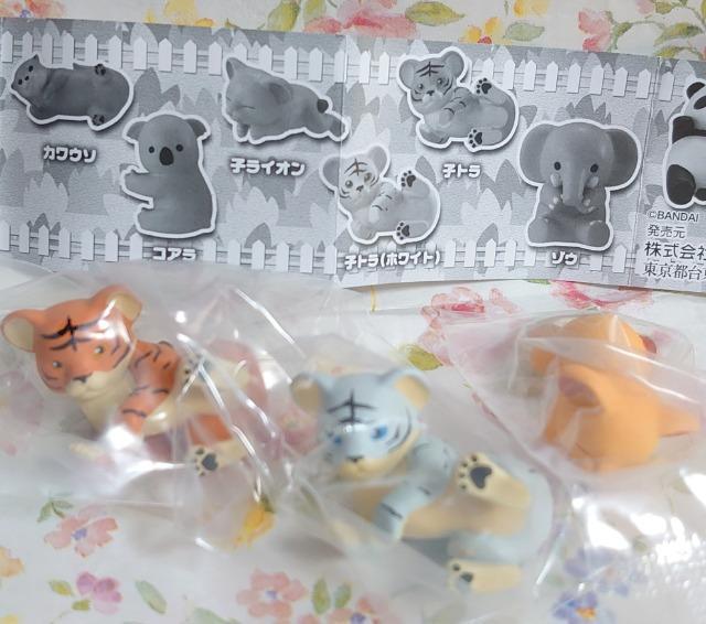 【定形外送料無料】ガチャガチャ○『ずーこっと』3種類セット < ホビー  【定形外送料無料】ガチャガチャ○『ずーこっと』3種類セット < ホビーの