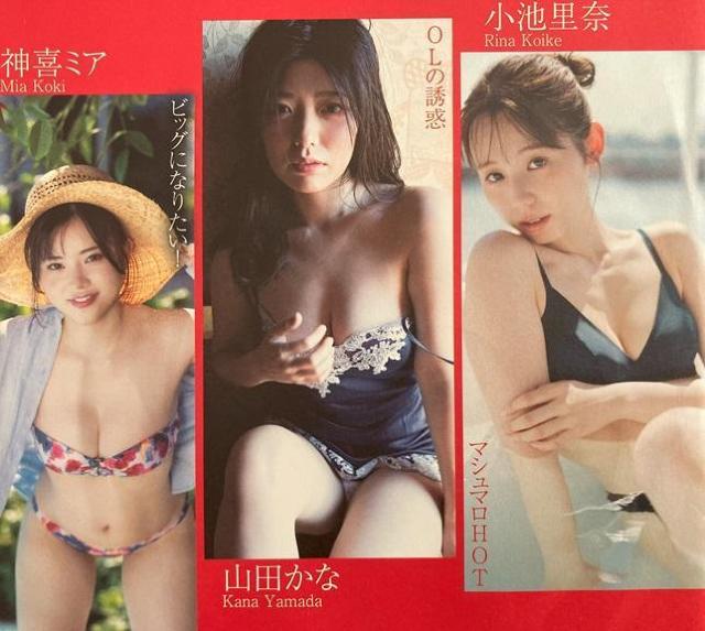 rށARcȁA_~AA݂ۂA̖JcucłB   ^gObY 