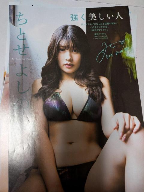 �s�ێі�؁A�삠�݁A�����V�邢�A���r���ޓ��̎G���؂蔲�� �� �^�����g�O�b�Y�� 