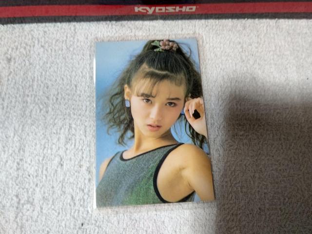 ���~�J �{�c���ގq  �� �^�����g�O�b�Y�� 