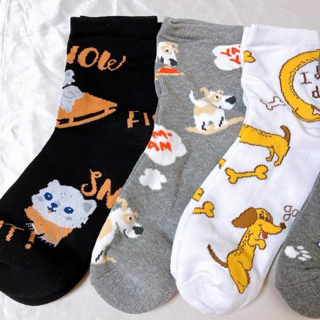 fB[XV[g\bNX 5Zbg@Jt\bNX AEghA\bNX JWA20-23cm  ȁ@Aj}  t@bV 