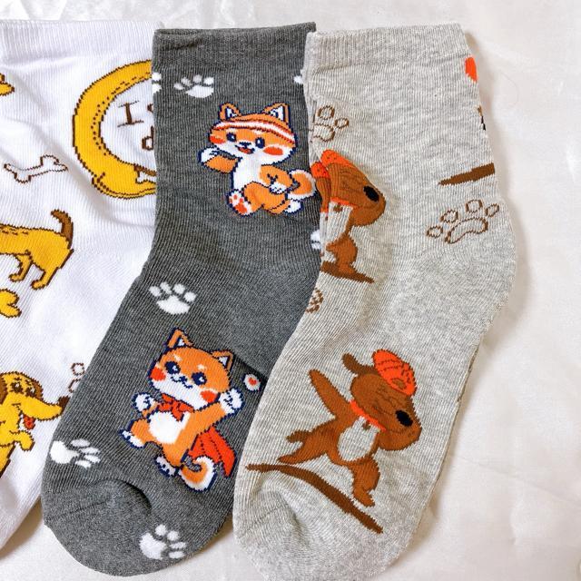 fB[XV[g\bNX 5Zbg@Jt\bNX AEghA\bNX JWA20-23cm  ȁ@Aj}  t@bV 