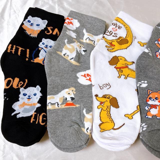 fB[XV[g\bNX 5Zbg@Jt\bNX AEghA\bNX JWA20-23cm  ȁ@Aj}  t@bV 