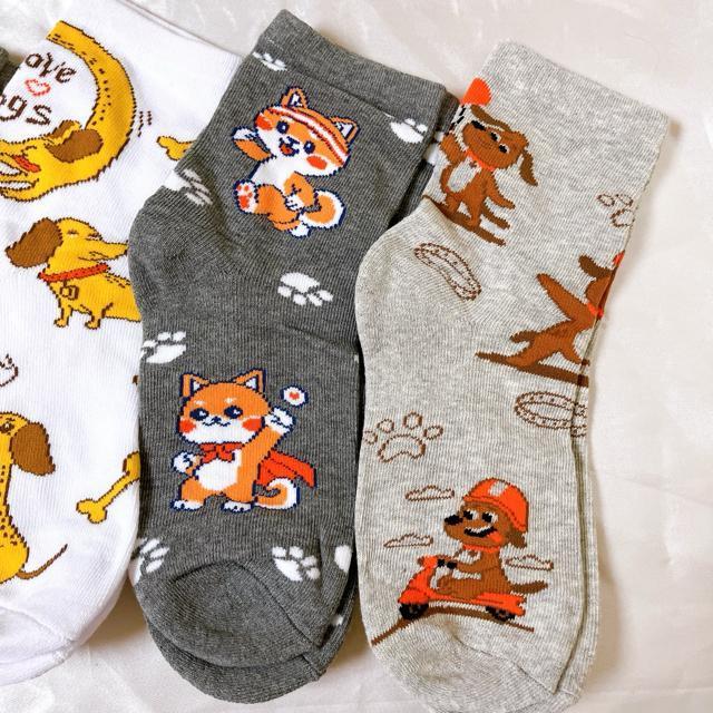 fB[XV[g\bNX 5Zbg@Jt\bNX AEghA\bNX JWA20-23cm  ȁ@Aj}  t@bV 