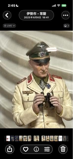 �^�~��16����1�h�C�c�������������t�B�M���A���슮���i�I �� �z�r�[�� 