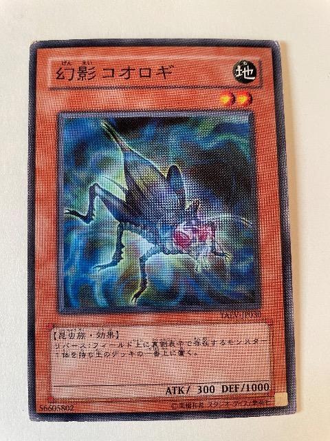遊戯王【地・幻影コオロギ】 < トレーディングカード  遊戯王【地・幻影コオロギ】  < トレーディングカードの