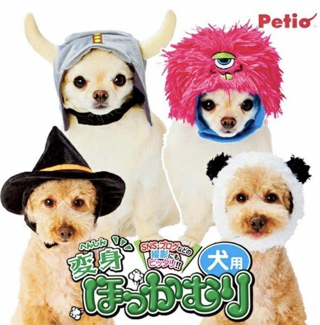 p񁚂قނ聚ϐgObYsNX^[nEB킢ybgpObYybgVigp  ybg/|/| 