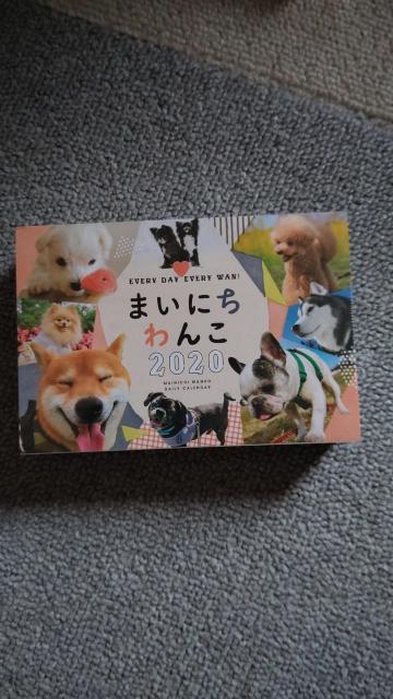 ☆まいにちわんこ2020 < ブランド ☆まいにちわんこ2020 < ブランドの