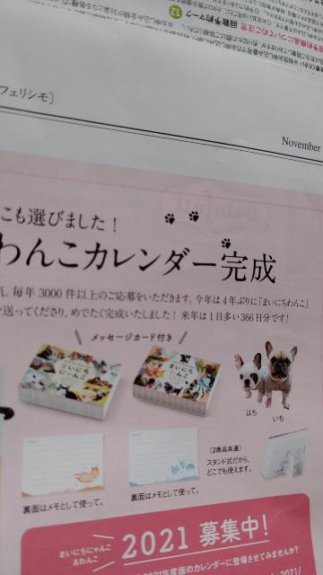 ☆まいにちわんこ2020 < ブランド ☆まいにちわんこ2020 < ブランドの