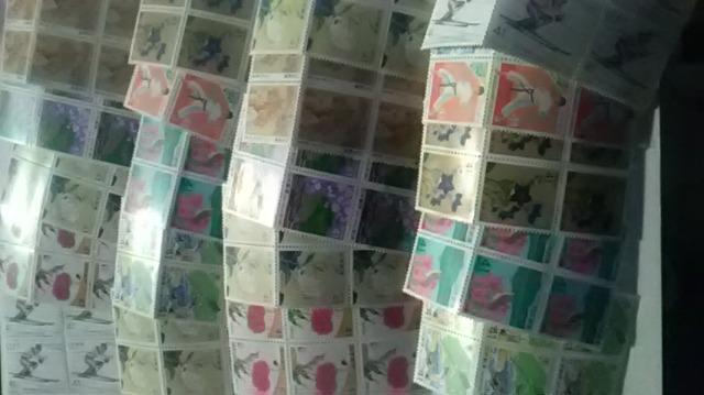 41~؎120Vigpi  41120[Q9   zr[ 