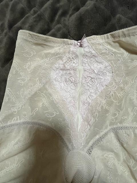 タンス整理品 衣類 おまとめOK ホームクリーニング済み ガードル ベージュ LLサイズくらい < 女性ファッション  タンス整理品 衣類 おまとめOK ホームクリーニング済み ガードル ベージュ LLサイズくらい < 女性ファッションの