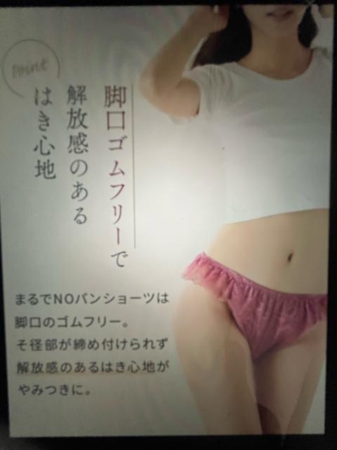 4Lー5Lサイズ!2枚セット!まるでNOパン!総レース!ふんどしショーツ!エレガントに!ゆったり!清楚な色合い!大きいサイズ! < 女性ファッション  4Lー5Lサイズ!2枚セット!まるでNOパン!総レース!ふんどしショーツ!エレガントに!ゆったり!清楚な色合い!大きいサイズ! < 女性ファッションの