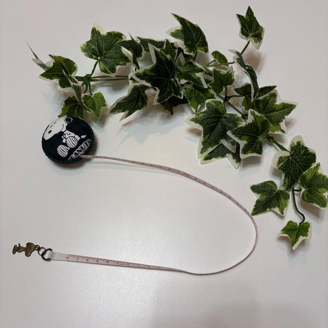 �n���h���C�h �X�k�[�s�[�@���W���[ �}�J�������W���[ ���ځ@�ٖD���� ���� ���� �����p�i �����G�݁@���p�i�@���p�i�G�� �� �A�j��/�R�~�b�N/�L�����N�^�[�� 