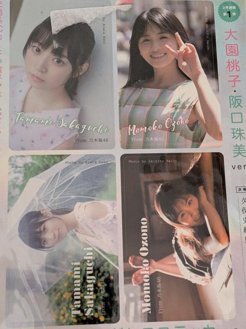 �剀���q�A�������V�[��  �� �{/�G���� 