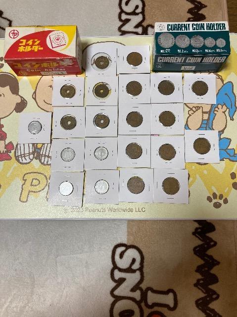 �R�C���z���_�[����@10�~�@5�~�@1�~  �� �z�r�[�� 