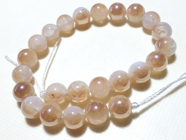 �V�R�� �V�����p���N�H�[�c ���E���h8mm ���A  �� �����A�N�Z�T���[/���v�� 