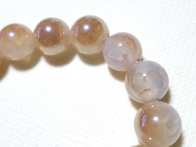 �V�R�� �V�����p���N�H�[�c ���E���h8mm ���A �� �����A�N�Z�T���[/���v�� 