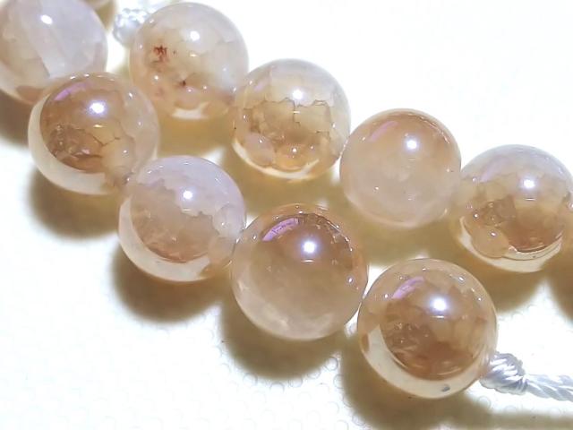 �V�R�� �V�����p���N�H�[�c ���E���h8mm ���A �� �����A�N�Z�T���[/���v�� 