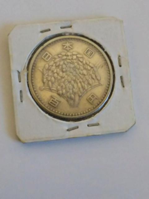 �������������a��P���R�C�� �� �z�r�[�� 