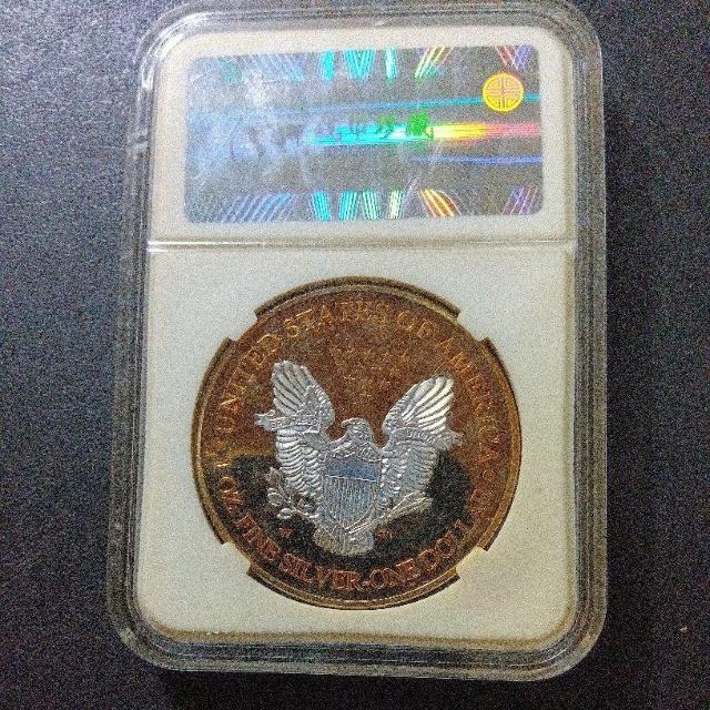 �A�����J�̃R�C��