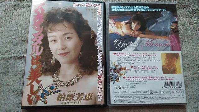 ky ☆(初版限定版)柏原芳恵メモリアル&レジェンド・ゴールド ☆☆DVD2枚セット!! < タレントグッズ  ky ☆(初版限定版)柏原芳恵メモリアル&レジェンド・ゴールド ☆☆DVD2枚セット!! < タレントグッズの